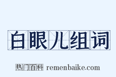 白眼儿组词是什么意思的图片